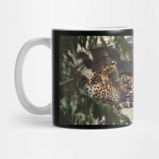 Leopard and Cub Mug